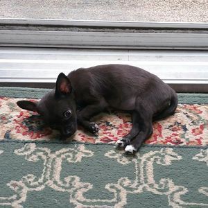 Meet your Posher, John